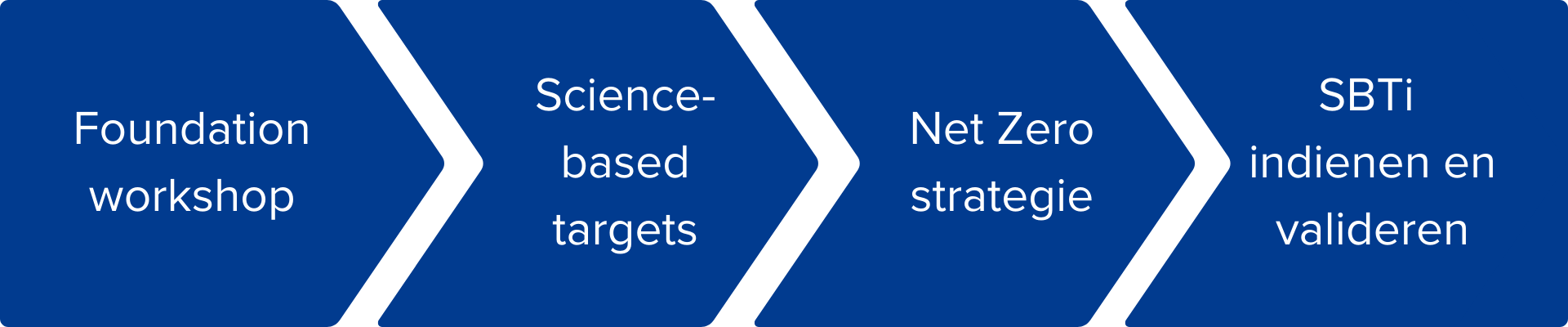 consulting oplossingen voor jouw bedrijf: foundation workshop, science-based targets, Net Zero strategie, SBTi indienen en valideren