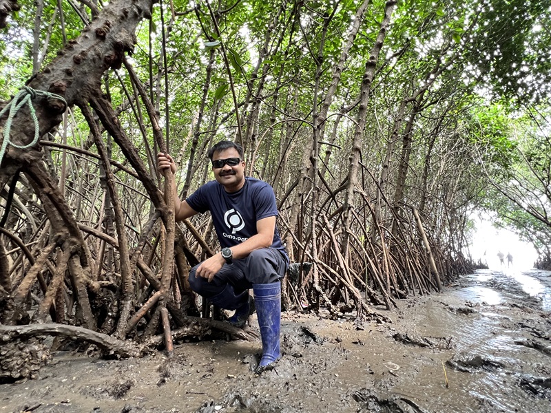 Nirmal in the mangrove