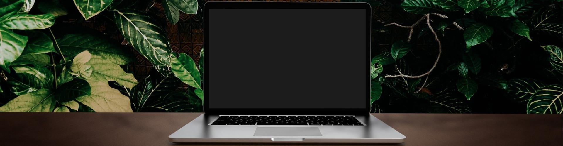 Ist Homeoffice besser fürs Klima? Laptop vor einer Wand mit grünen Blättern