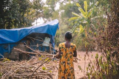 Indian woman collecting wood