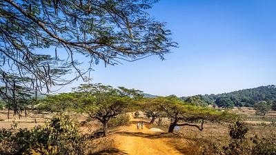 landscape india