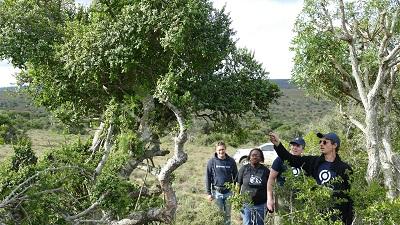 people in african forest