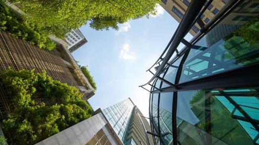 office building with trees