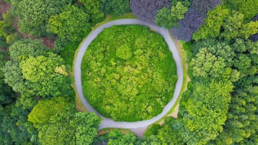 circle pathway from above