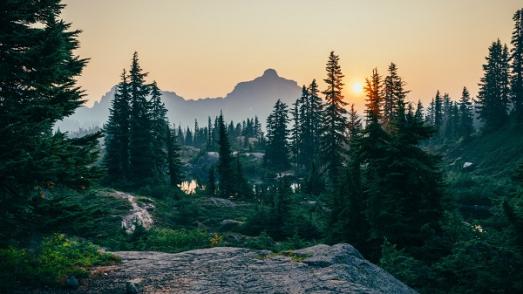 Forest at sunset with mountains in the background 